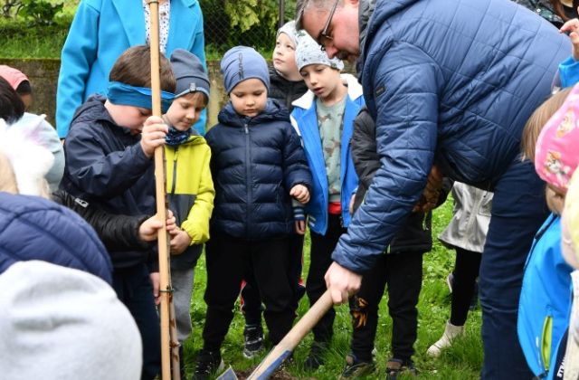 W przedszkolu urośnie „Żabi Klon”