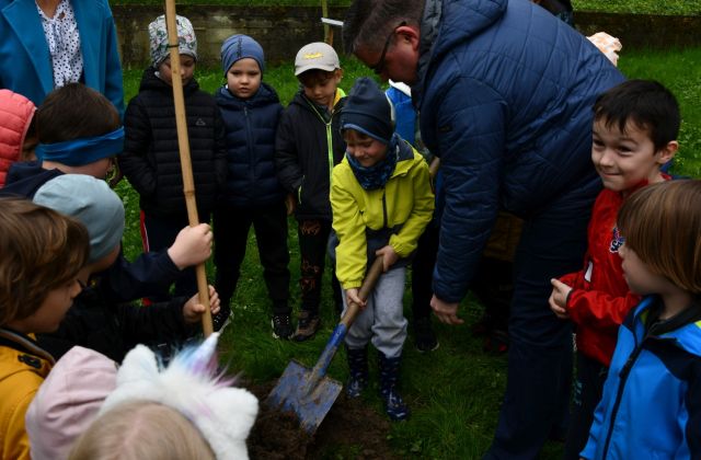 W przedszkolu urośnie „Żabi Klon”