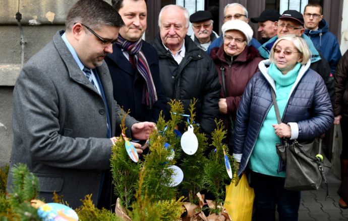 200 świątecznych drzewek na 20 lat powiatu